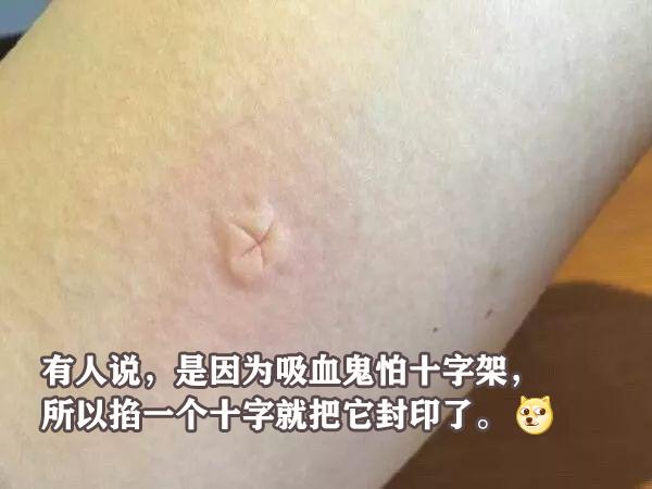 这些事情是怎么做到全国统一的？哈哈哈哈哈看完笑得肚子疼