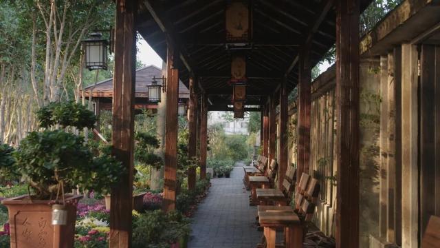 12条上海美丽乡村春夏季休闲旅游线路，等你来打卡