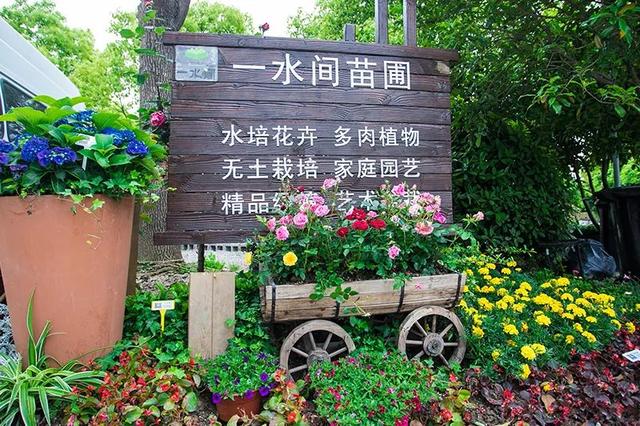 12条上海美丽乡村春夏季休闲旅游线路，等你来打卡