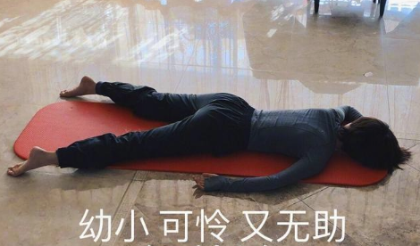 王珞丹要退圈了?“消失”多年被感叹可惜,殊不知她的戏外更精彩