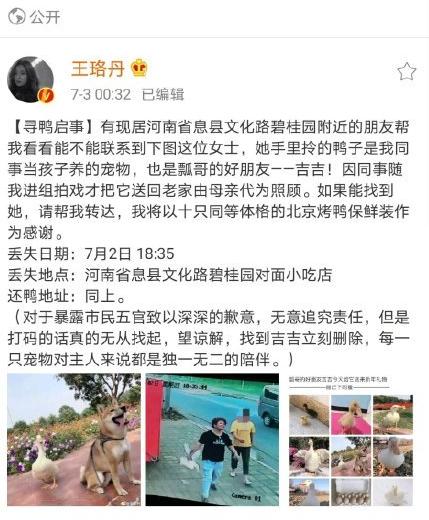 王珞丹要退圈了?“消失”多年被感叹可惜,殊不知她的戏外更精彩