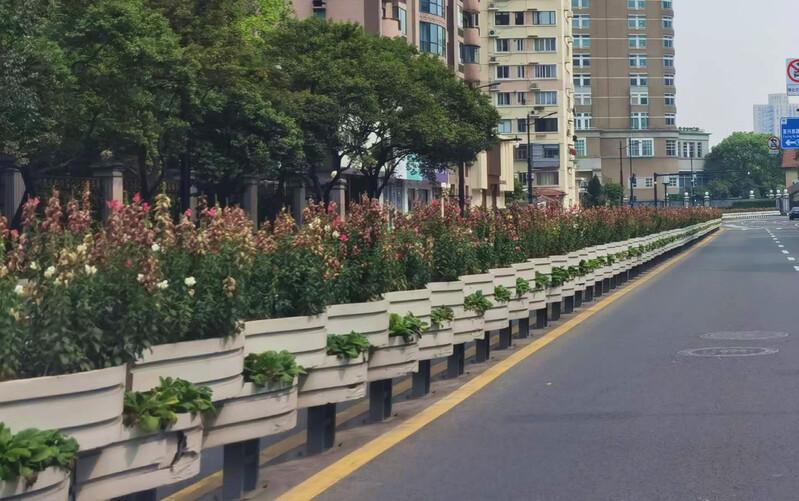 养护前的道路花箱，花卉已基本失去景观效果